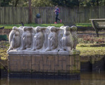 Pinguïns, Beatrixpark
<br/>
Marcel Westhoff, februari 2016